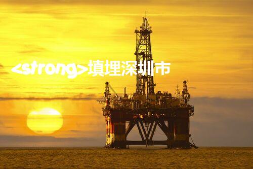 <strong>填埋深圳市危險(xiǎn)廢物處理站有限公司化工設(shè)施安全解體：如何高效處理復(fù)雜工業(yè)遺留問題？</strong>